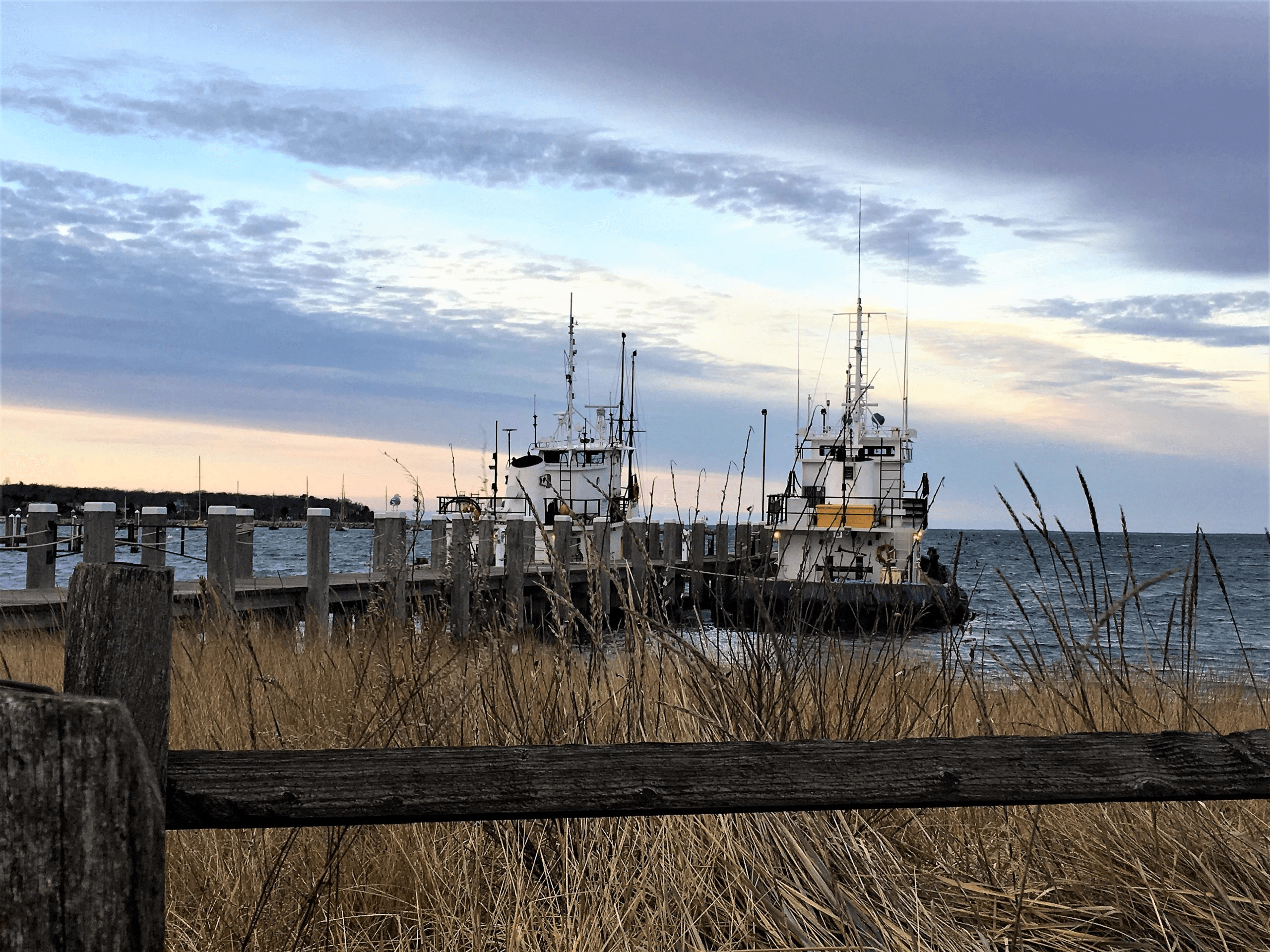 Tugboats in the Vineyard Haven Harbor