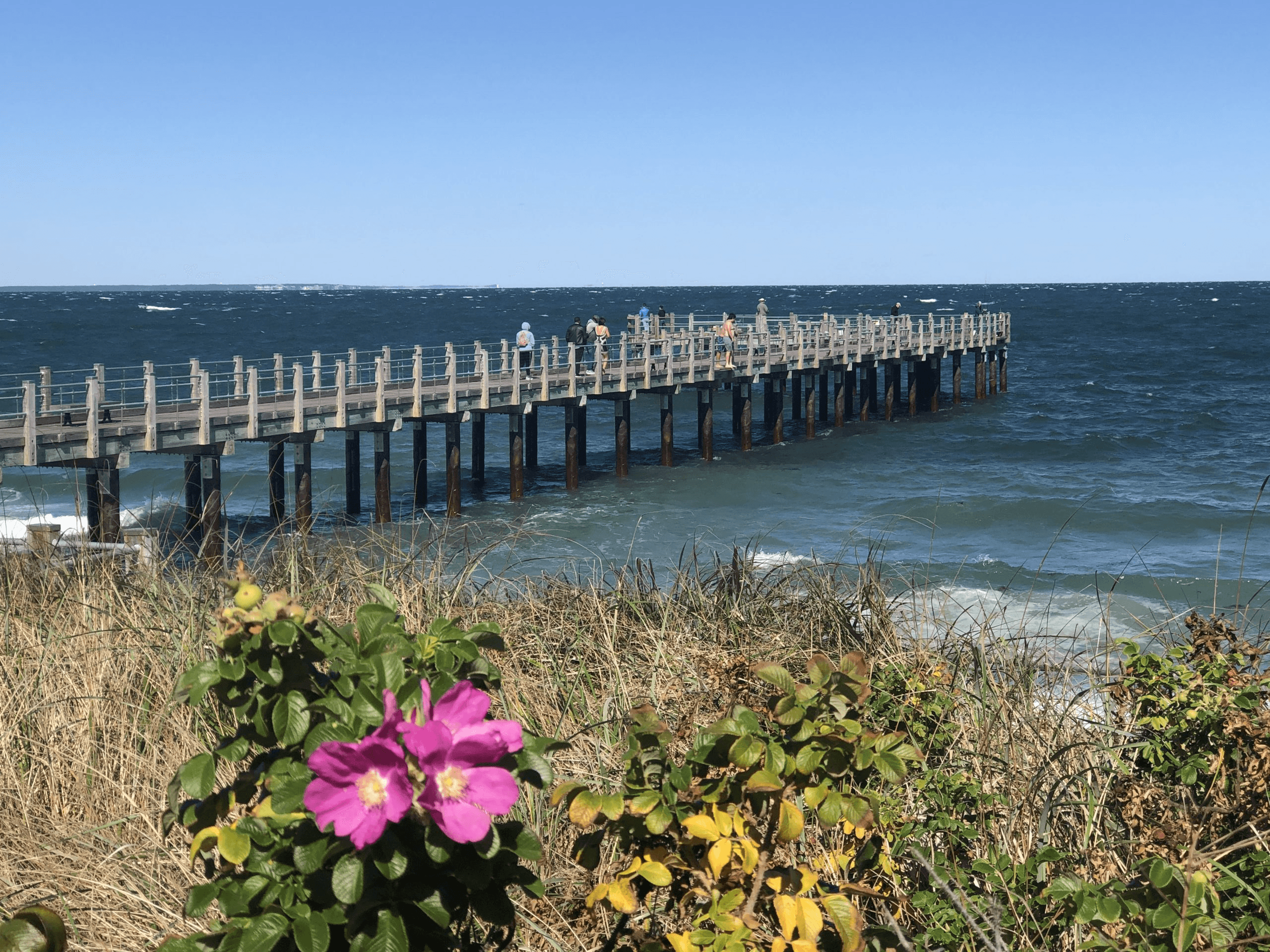 Fishing pier in Oak Bluffs