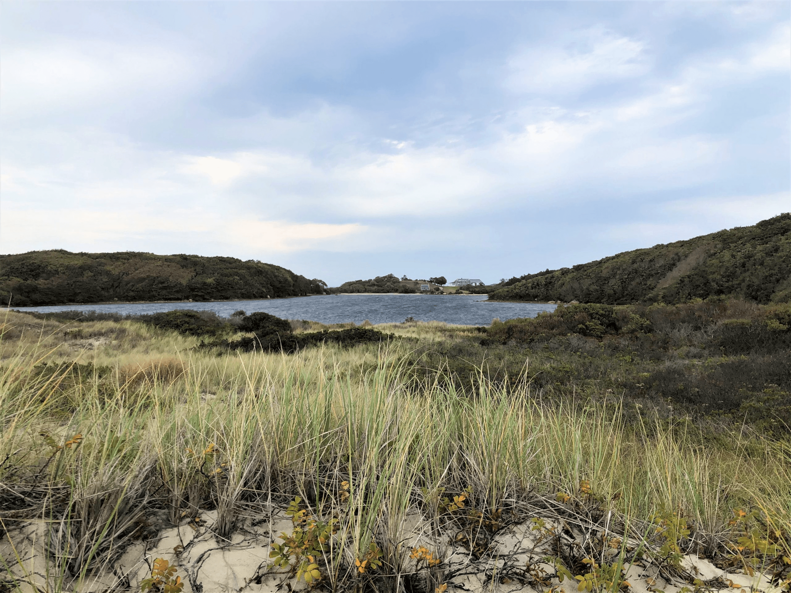 Beautiful view at Cedar Tree Neck in West Tisbury, MA