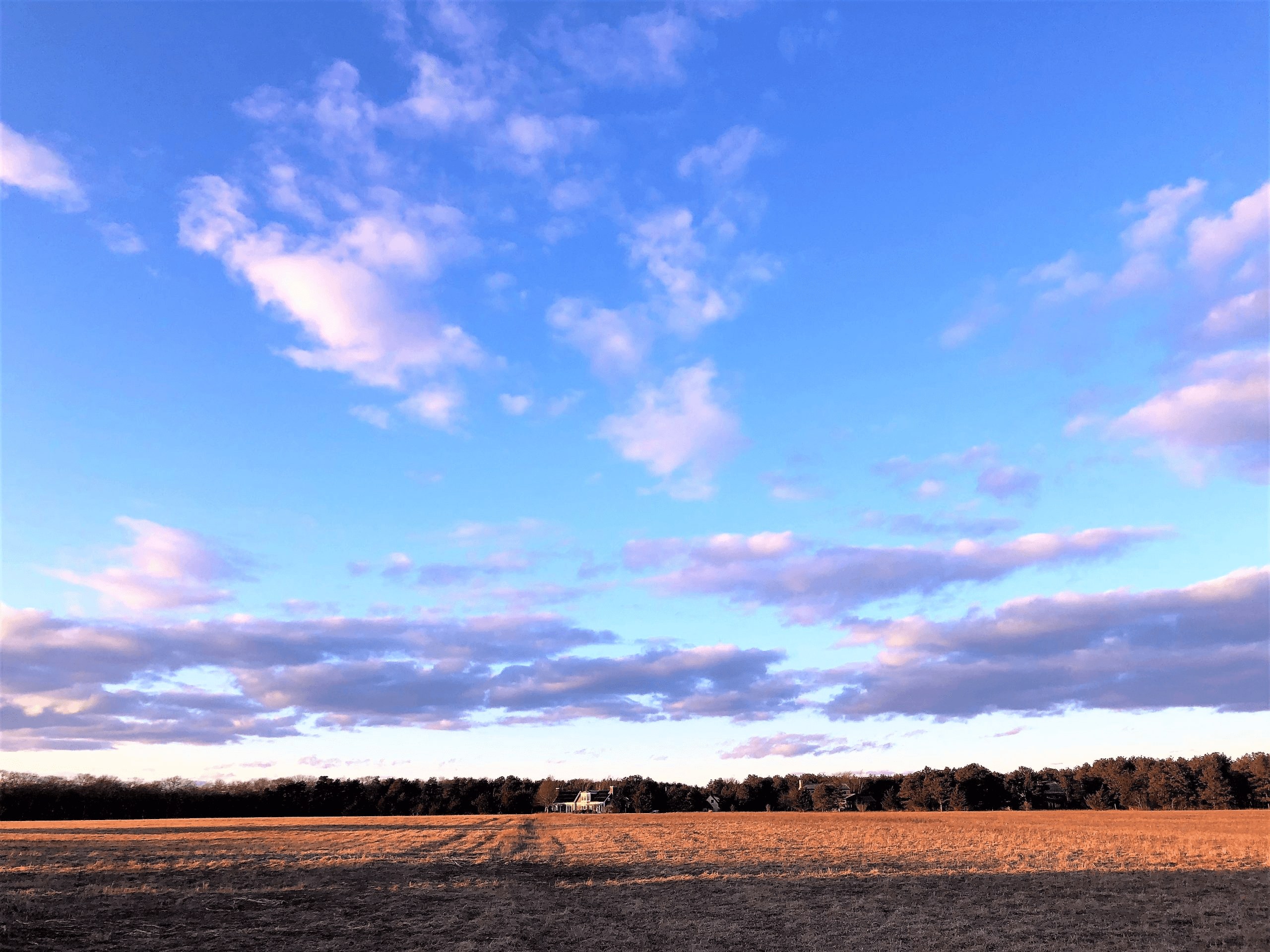 Walking trails at Nat's Farm in West Tisbury, Massachusetts