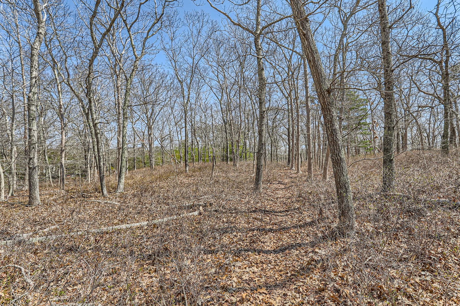 0 Edgartown Vineyard Haven Road M18AL8.1