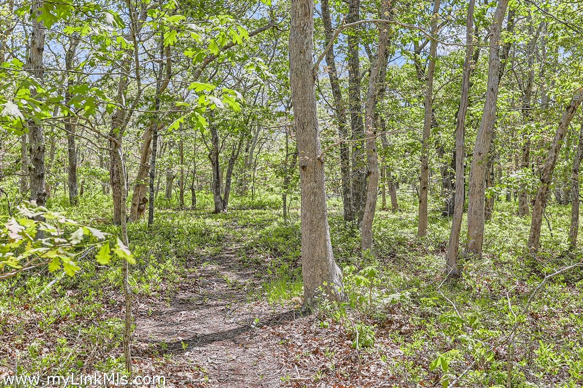 25 Plum Bush Point Road