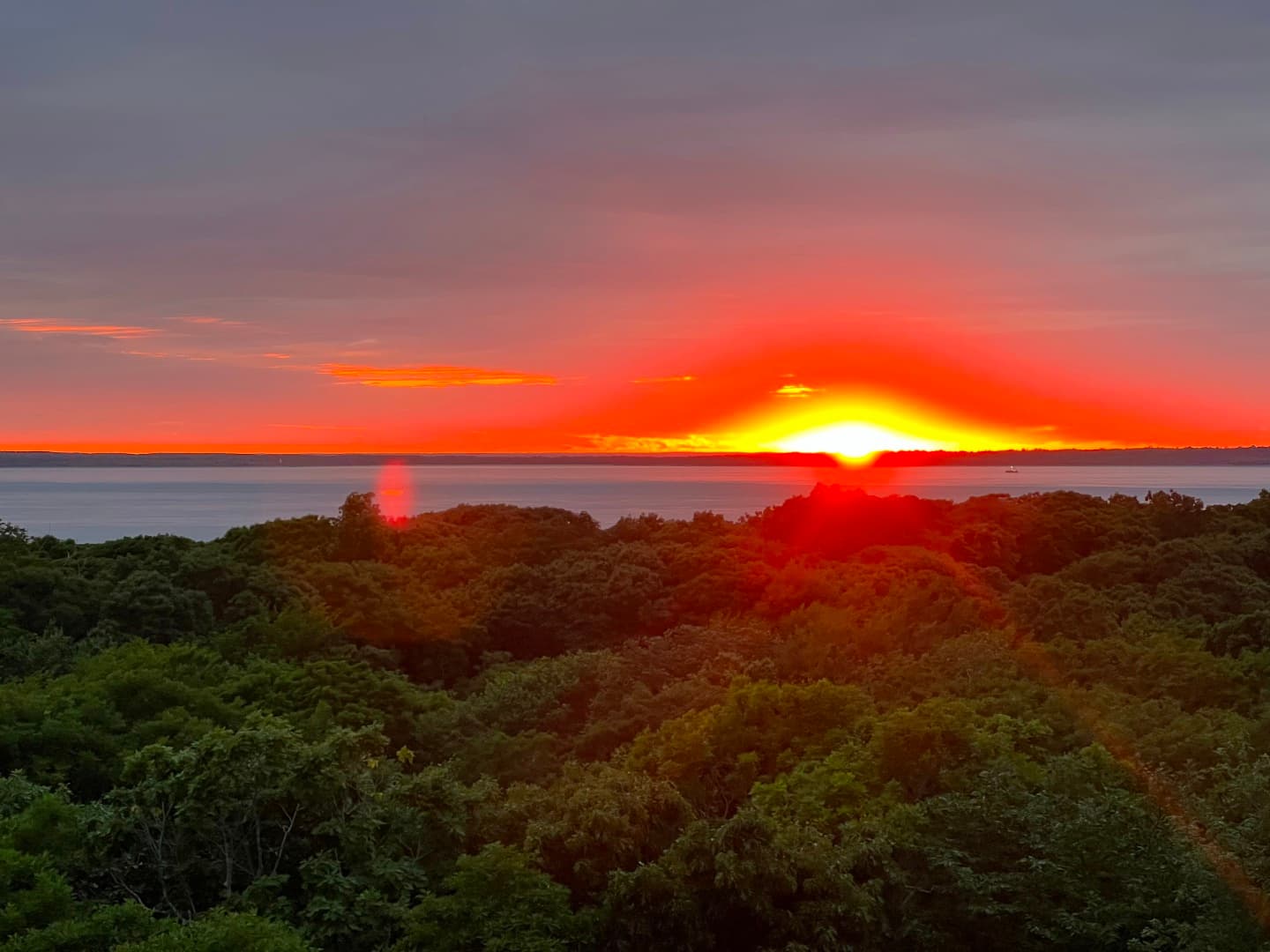 Residential Property Image/jpeg #5