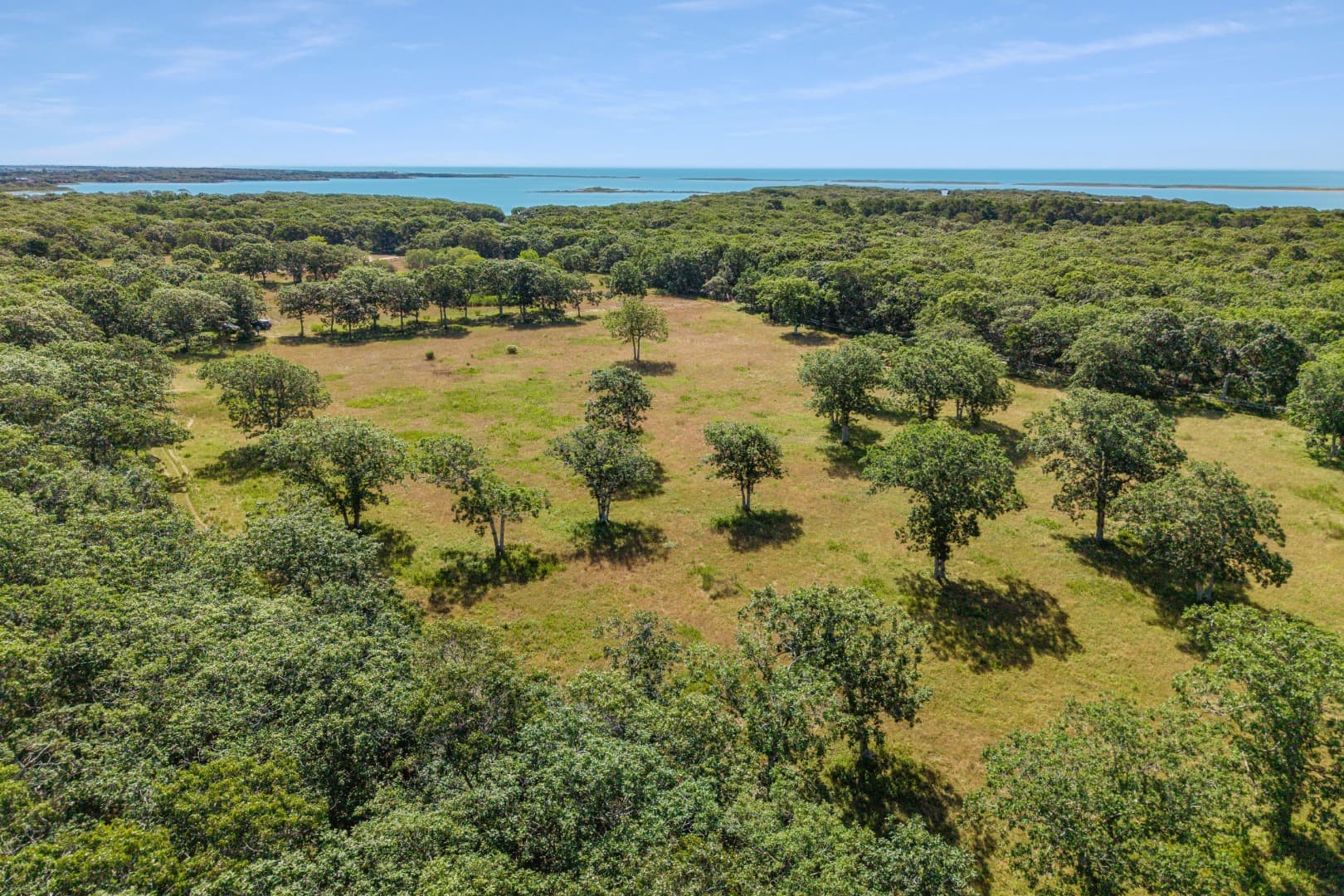 Residential Property Image/jpeg #3