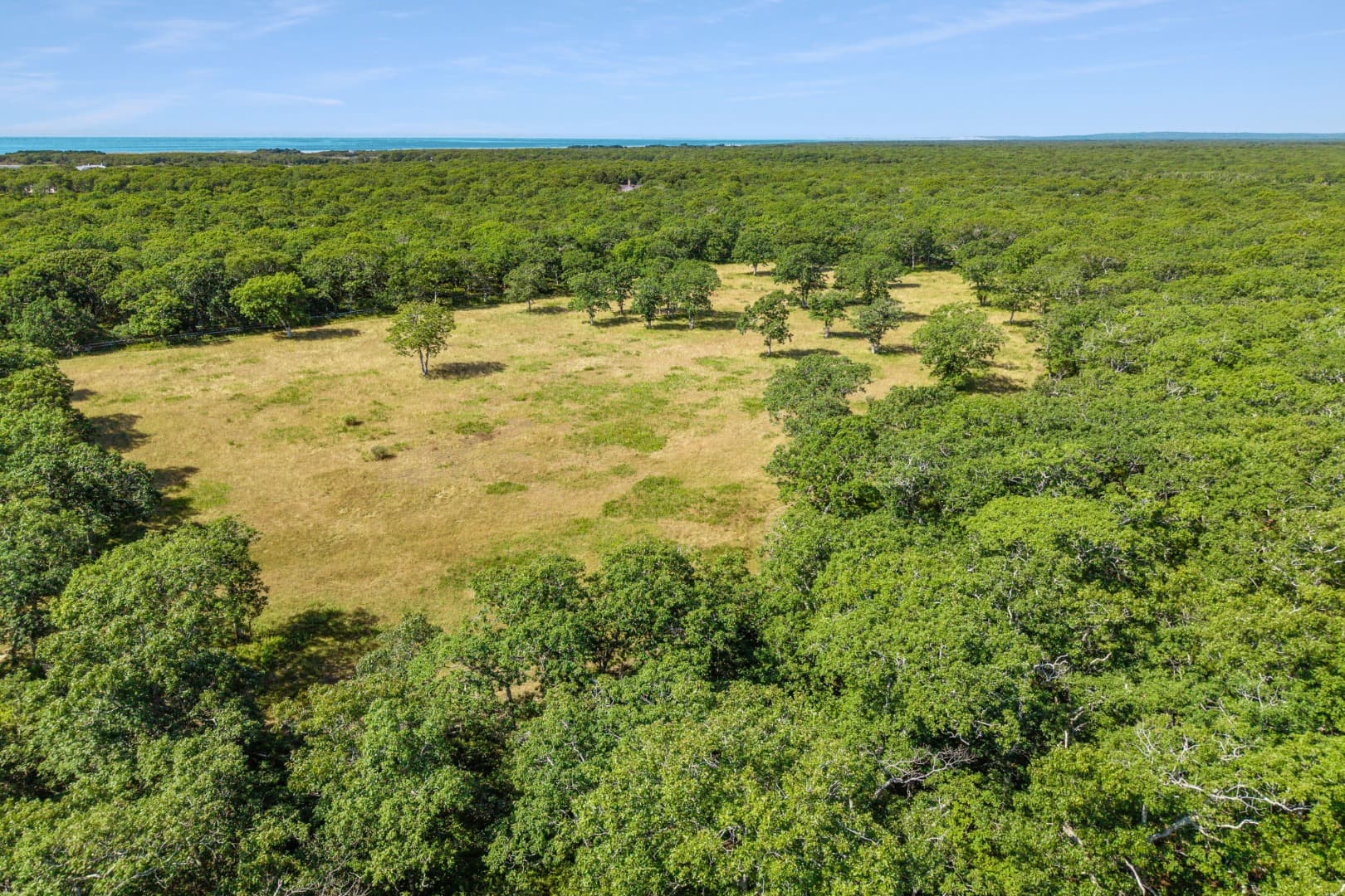 Residential Property Image/jpeg #4