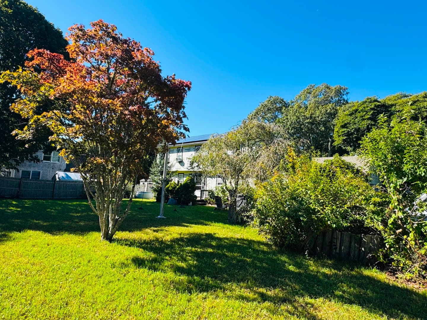 Residential Property Image/jpeg #4