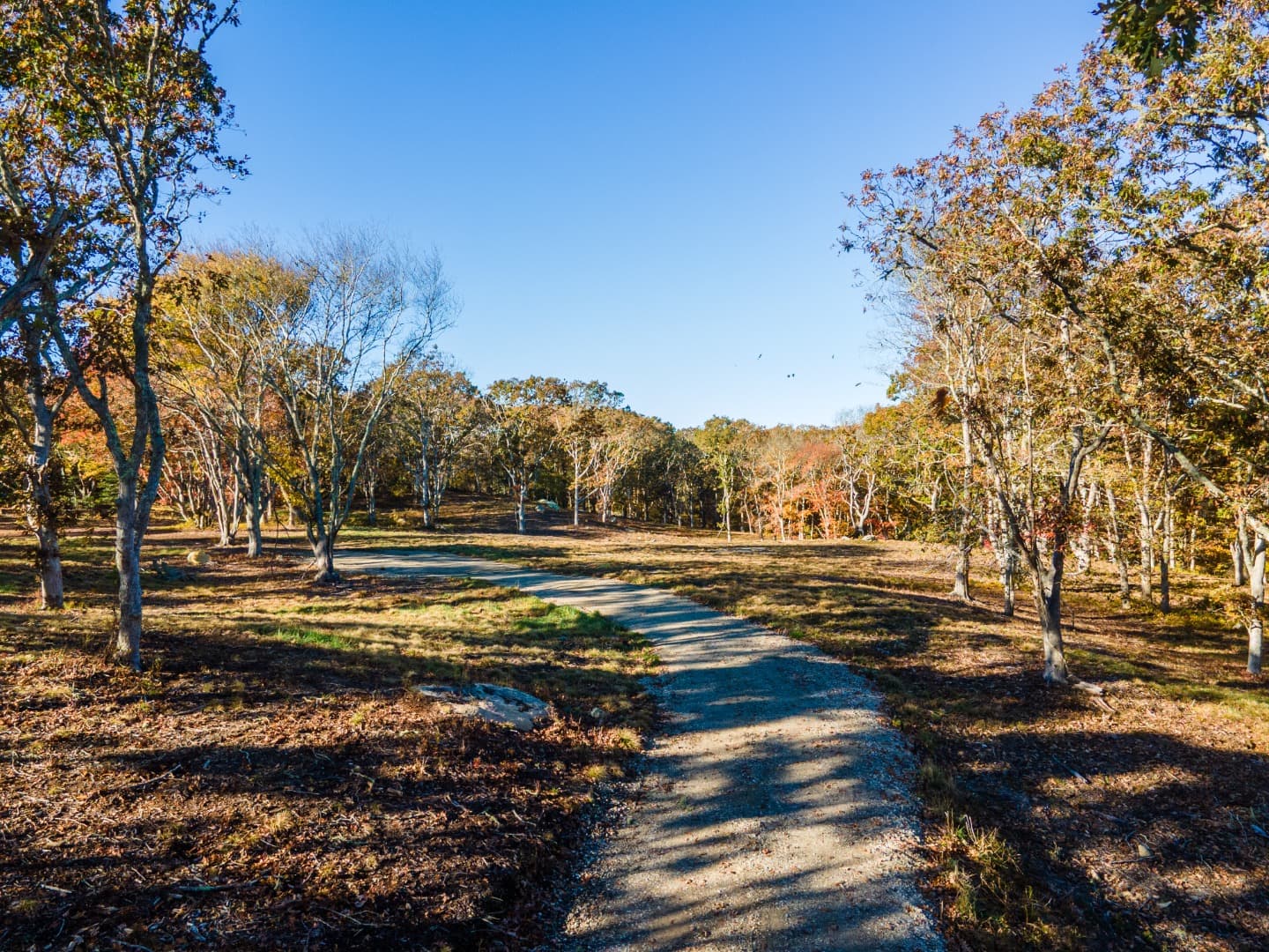 31 Tower Lane and 34 Ebens Lane