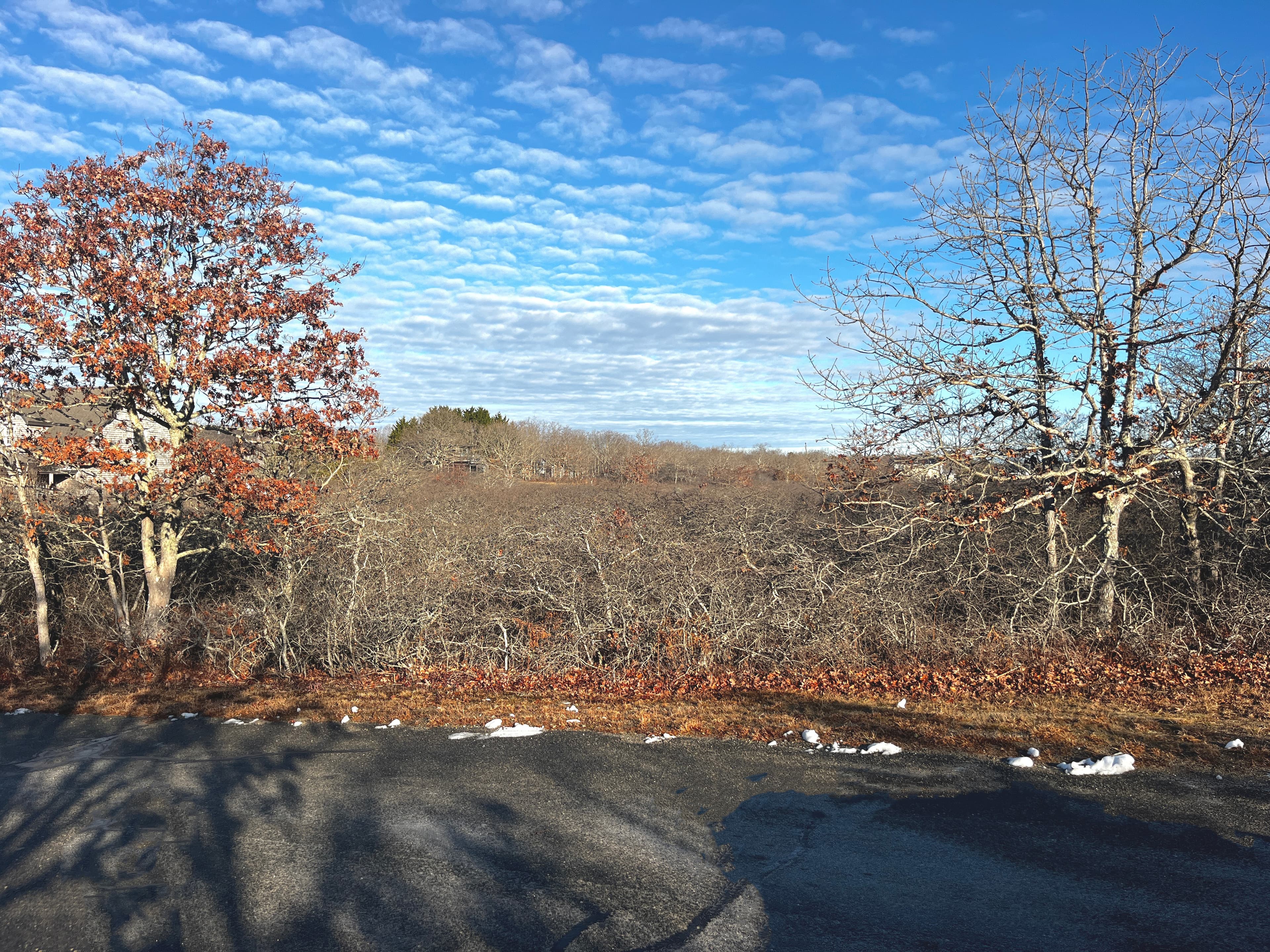 Residential Property Image/jpeg #3