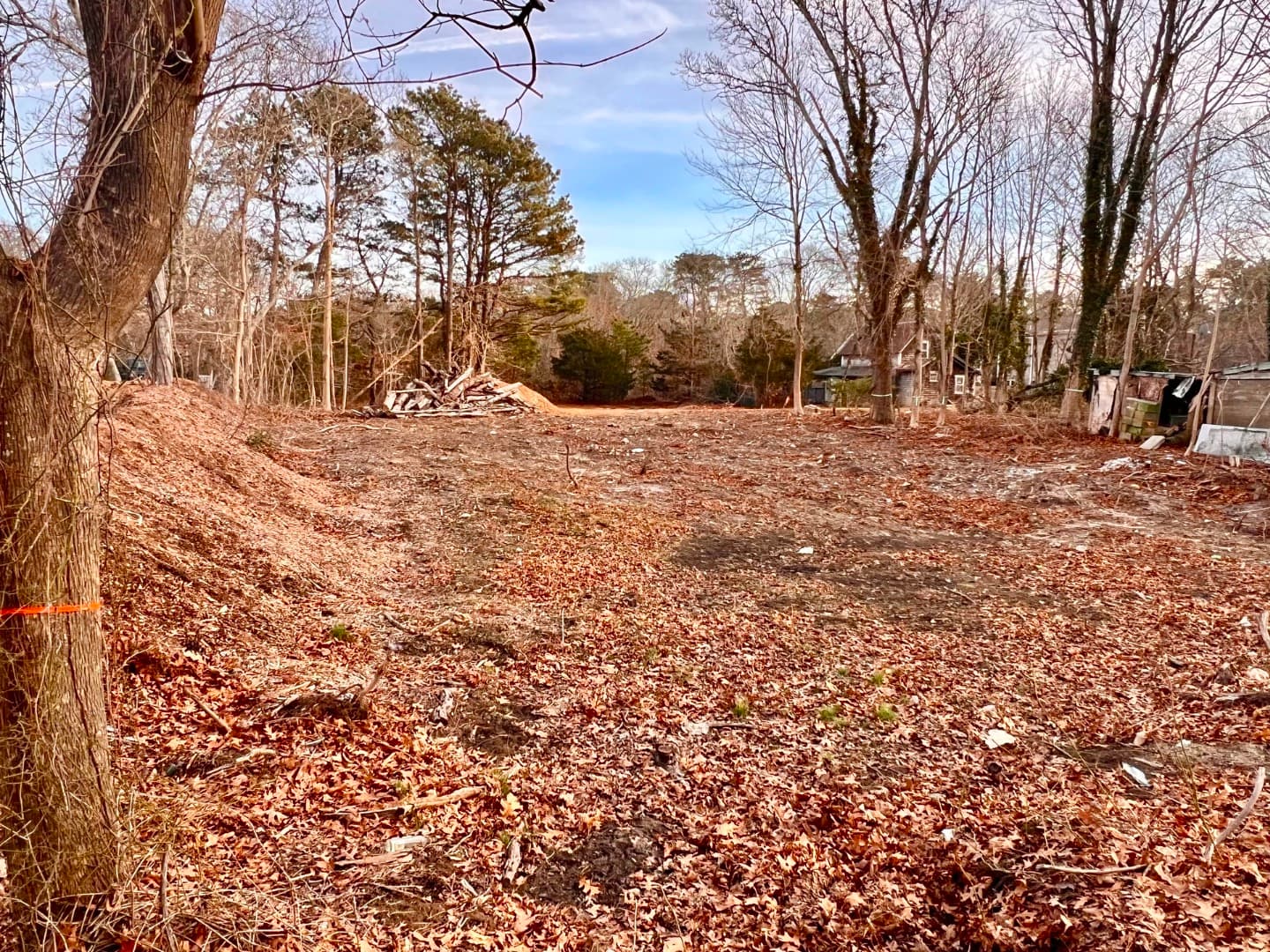 Residential Property Image/jpeg #3