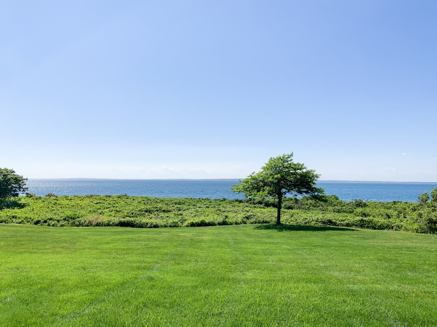 Residential Property Image/jpeg #3