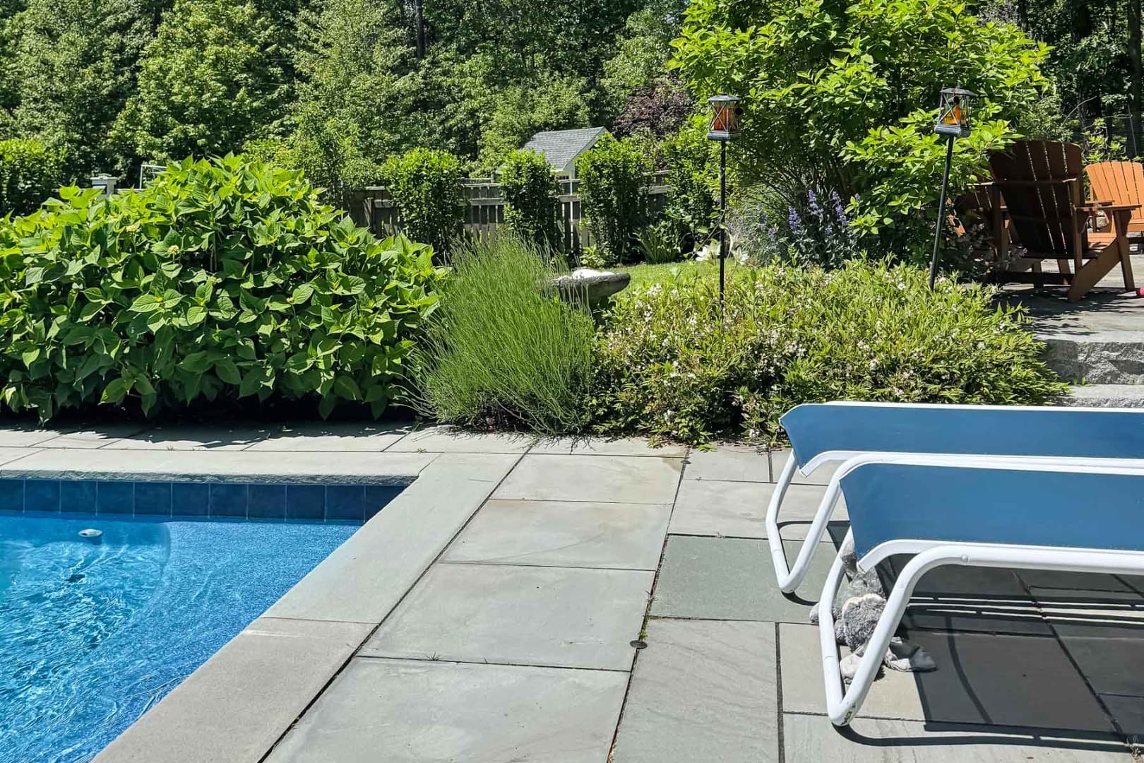 Residential Property Image/jpeg #4