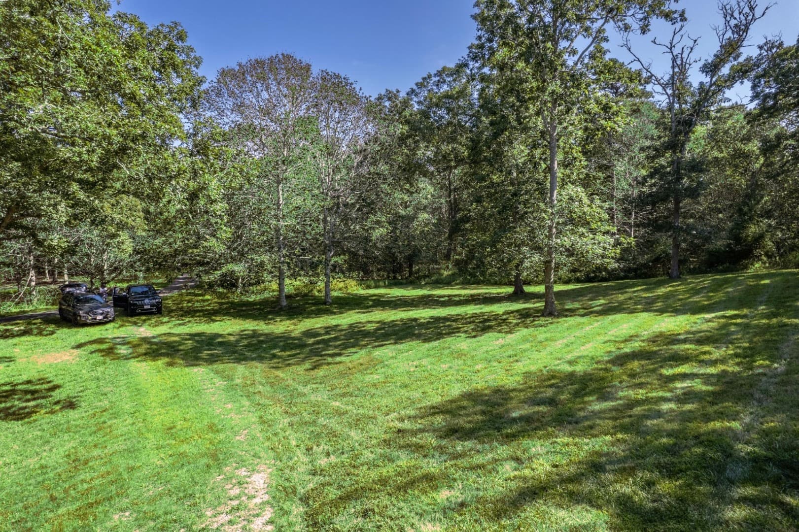 Residential Property Image/jpeg #3