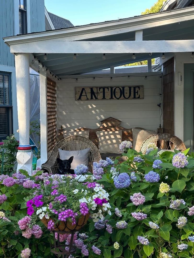 Residential Property Image/jpeg #5