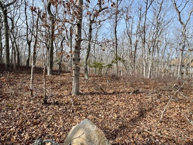 Residential Property Image/jpeg #3