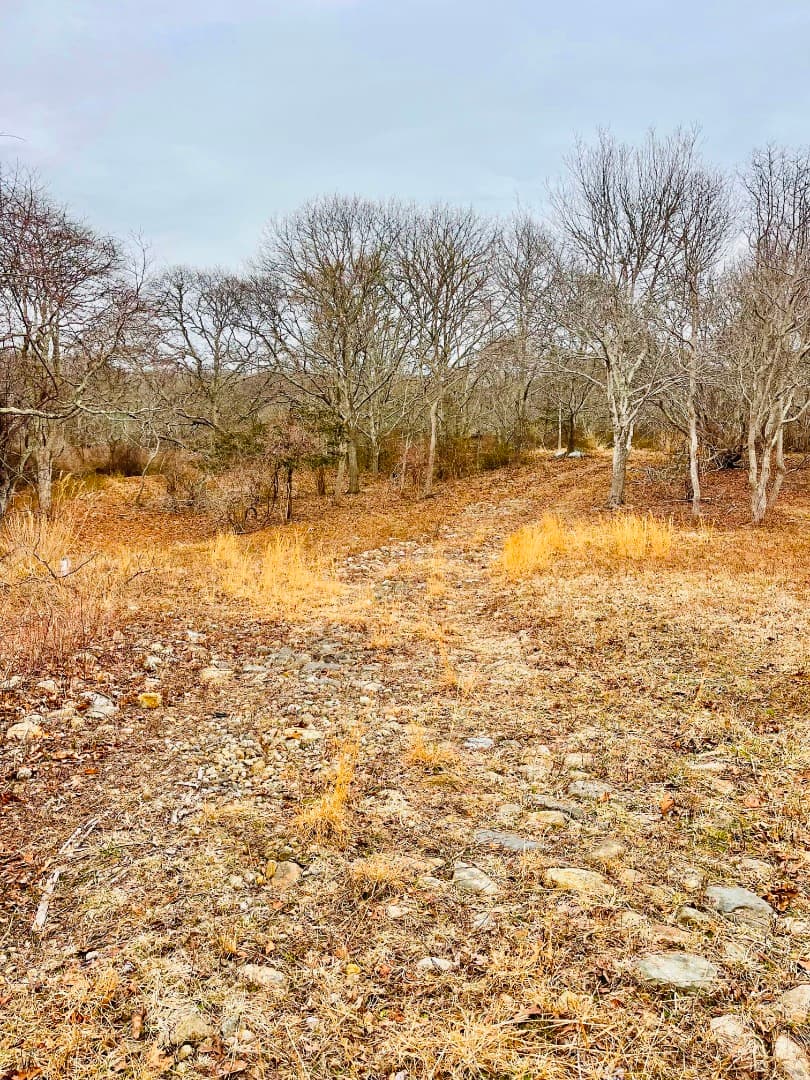 Residential Property Image/jpeg #2