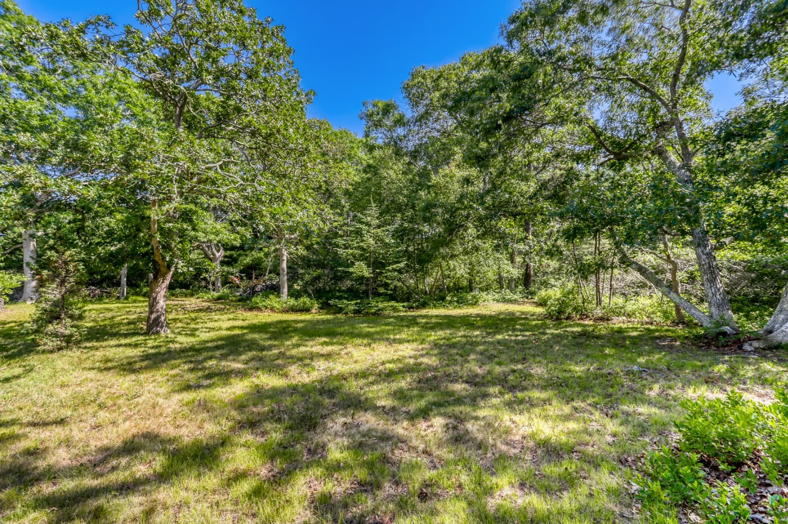42 Field View Lane
