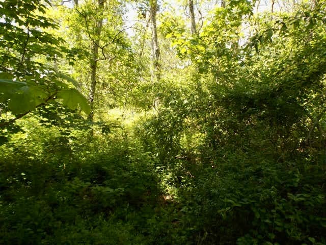 0 Old Country Lane