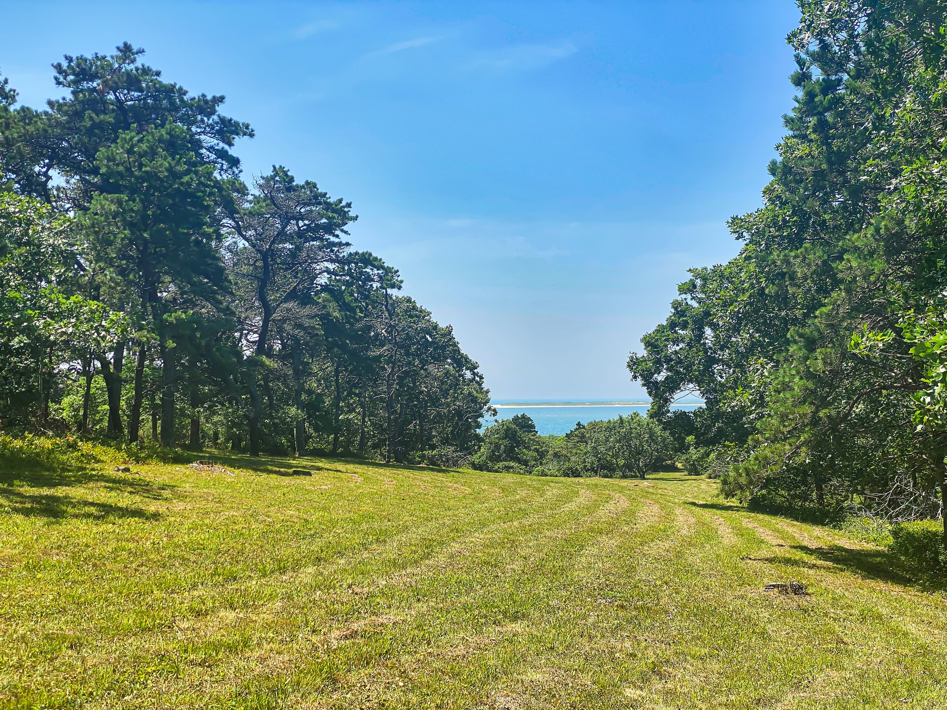 Residential Property Image/jpeg #2