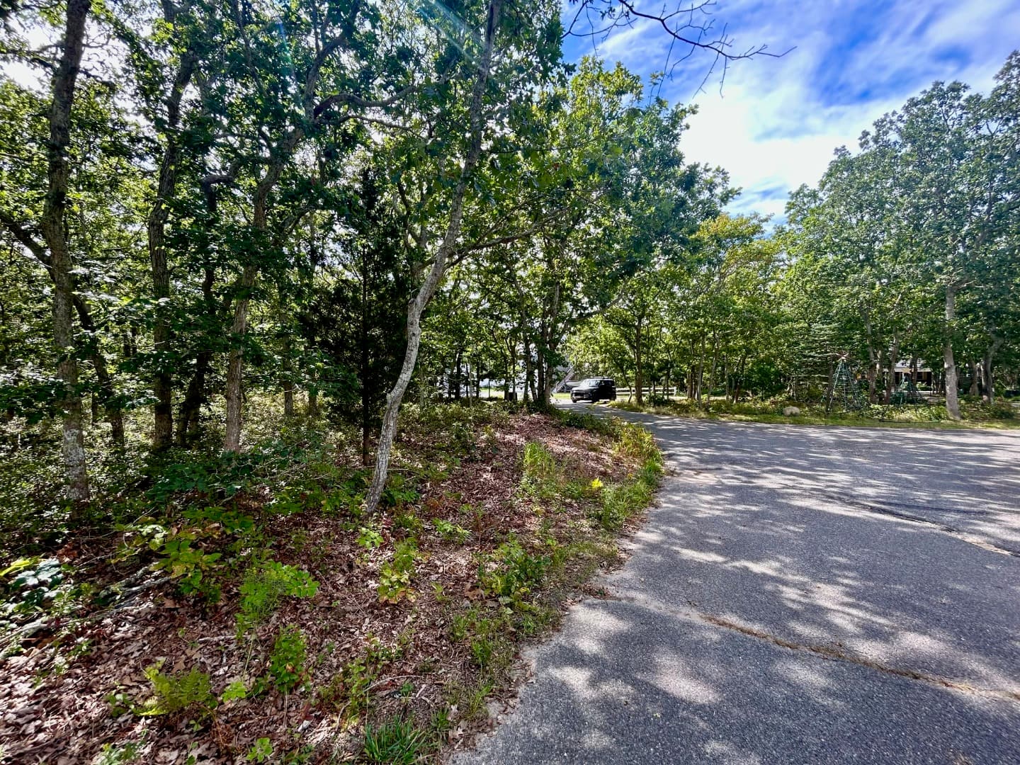 Residential Property Image/jpeg #2