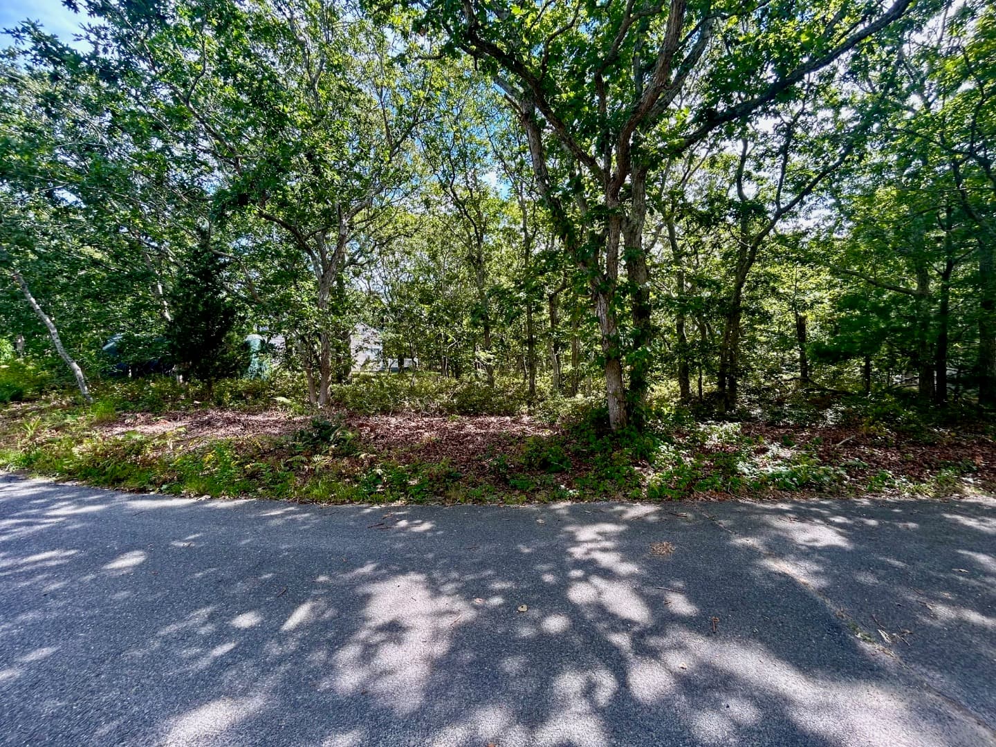 Residential Property Image/jpeg #4