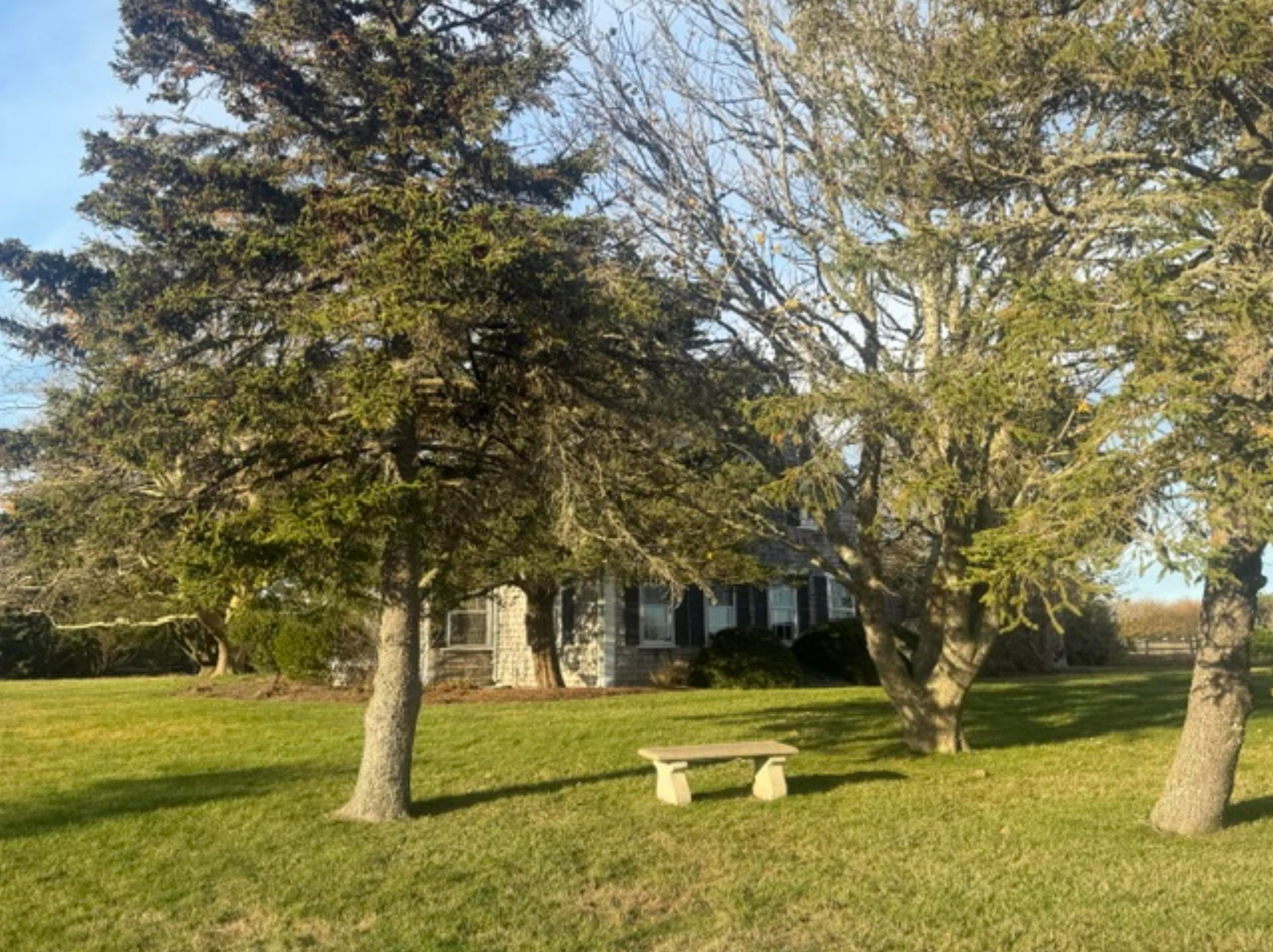 Residential Property Image/jpeg #2