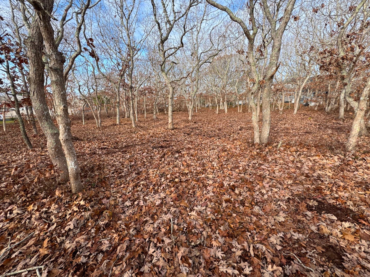 Residential Property Image/jpeg #2