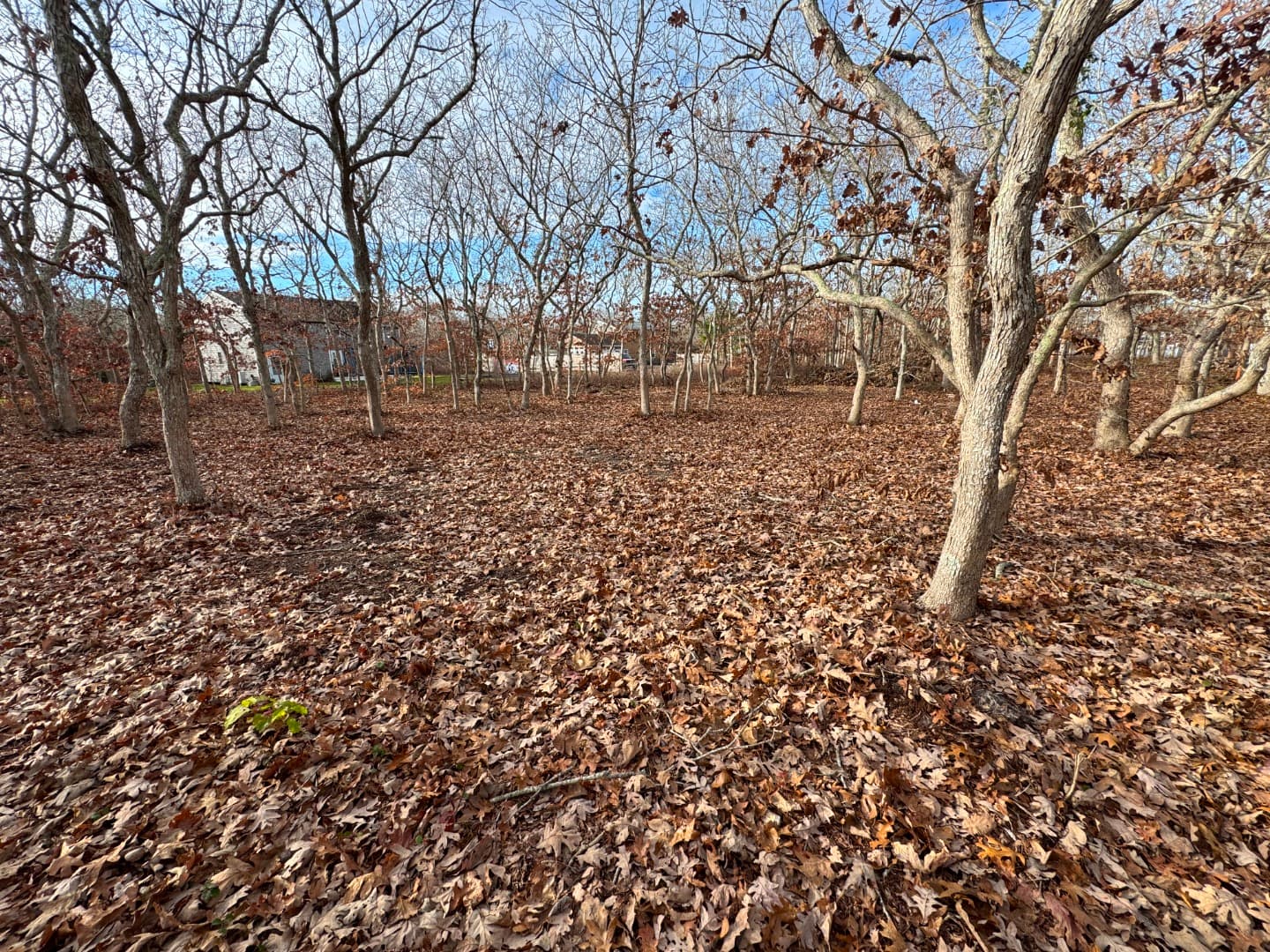 Residential Property Image/jpeg #3