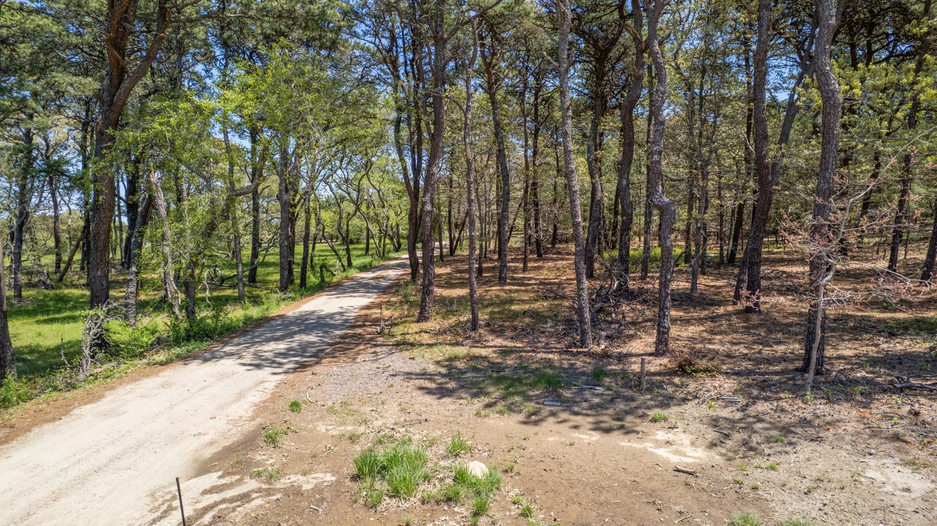 Residential Property Image/jpeg #2