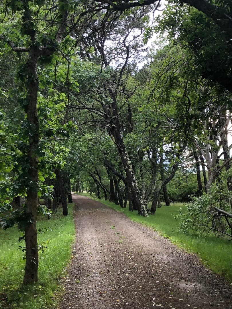 Residential Property Image/jpeg #4