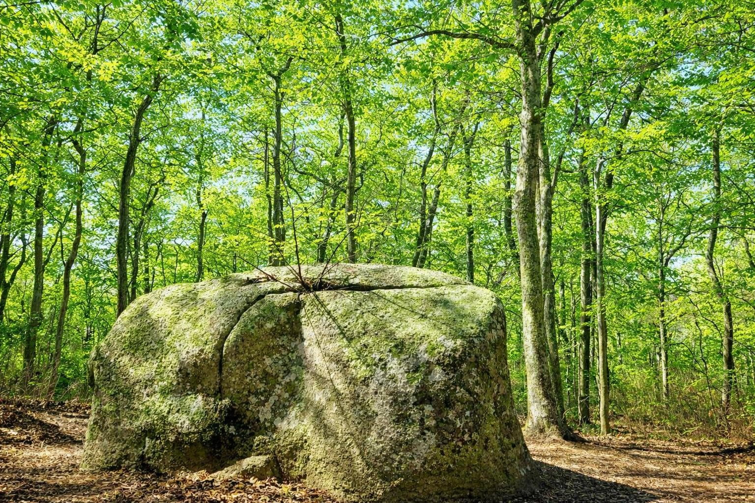 Residential Property Image/jpeg #2