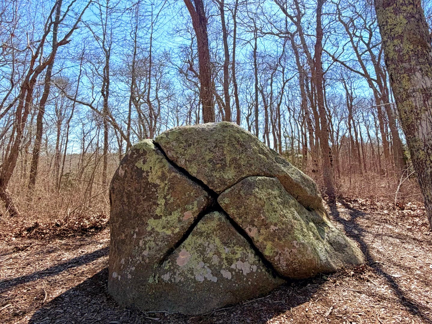 Residential Property Image/jpeg #4