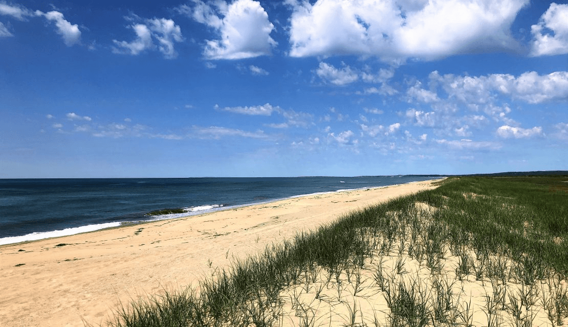 Long Point Beach 1110x640